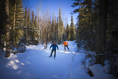 cross country ski winter