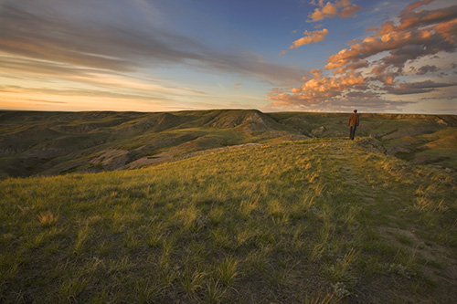 Grasslands