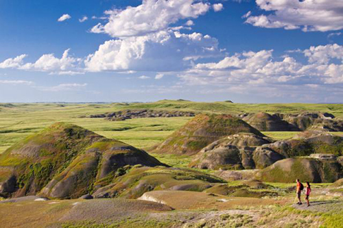 Grasslands