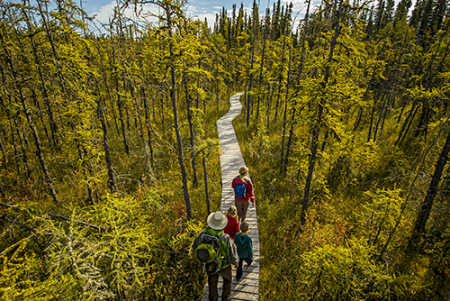 Prince Albert National Park 
