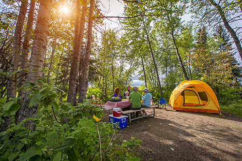 Prince Albert National Park 