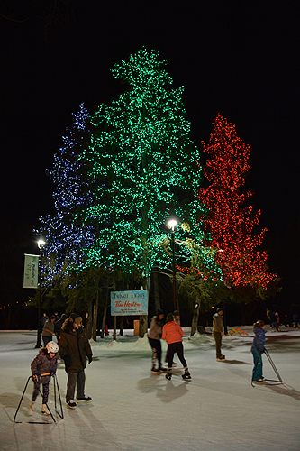 Saskatoon Winter