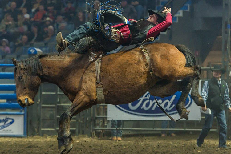 Canadian Western Agribition