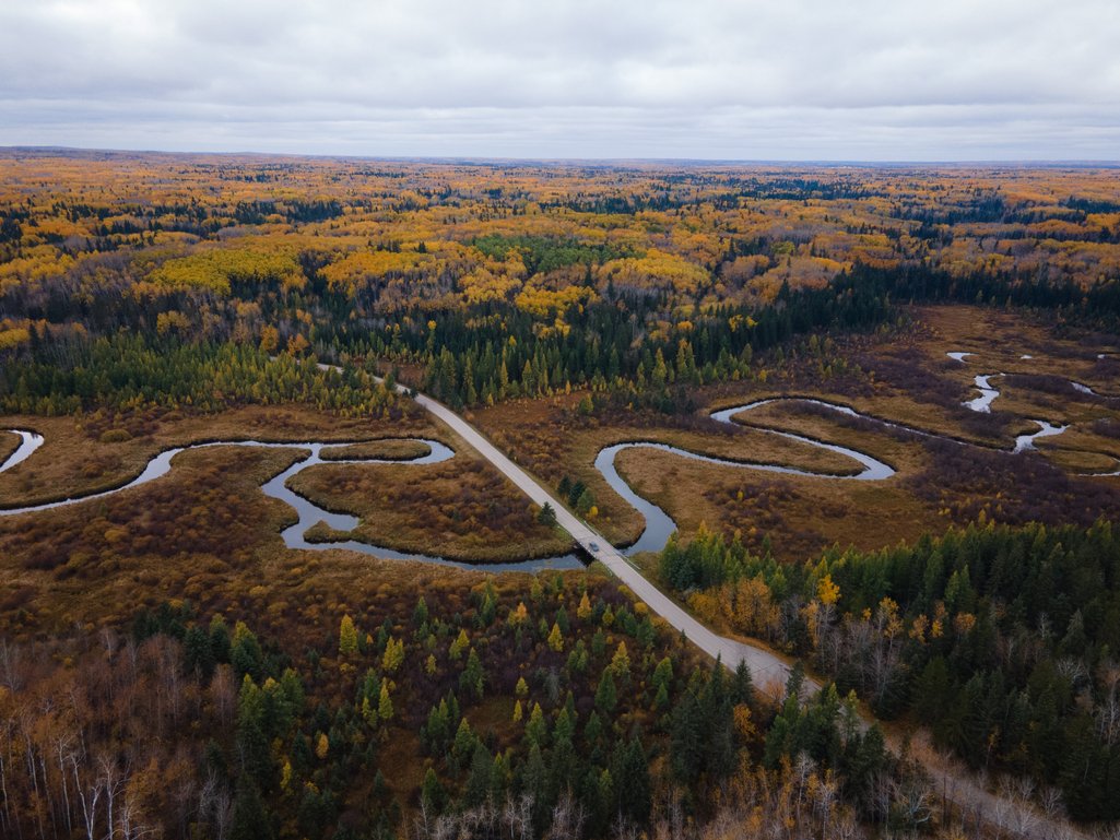 aerial view of a winding river amongst the boreal forest in Saskatchewan with autumn coloured leaves