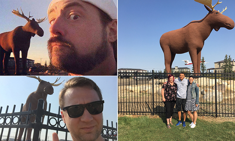 Mac the Moose