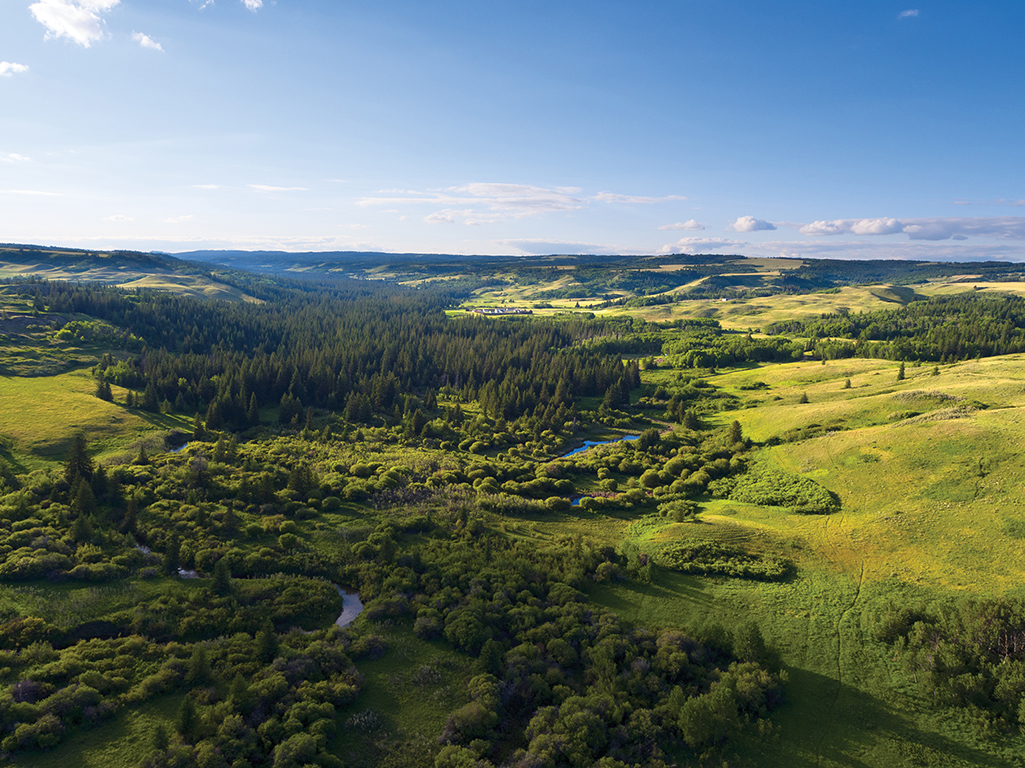 cypress hills