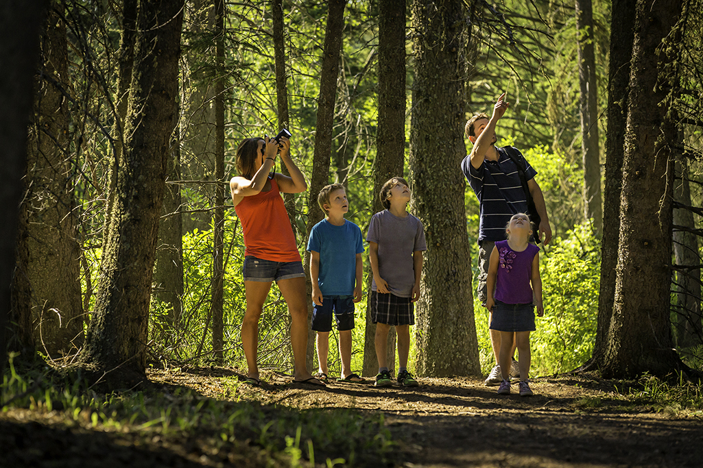 cypress hills