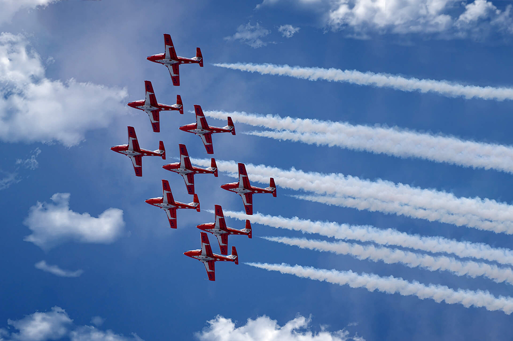 Snowbirds