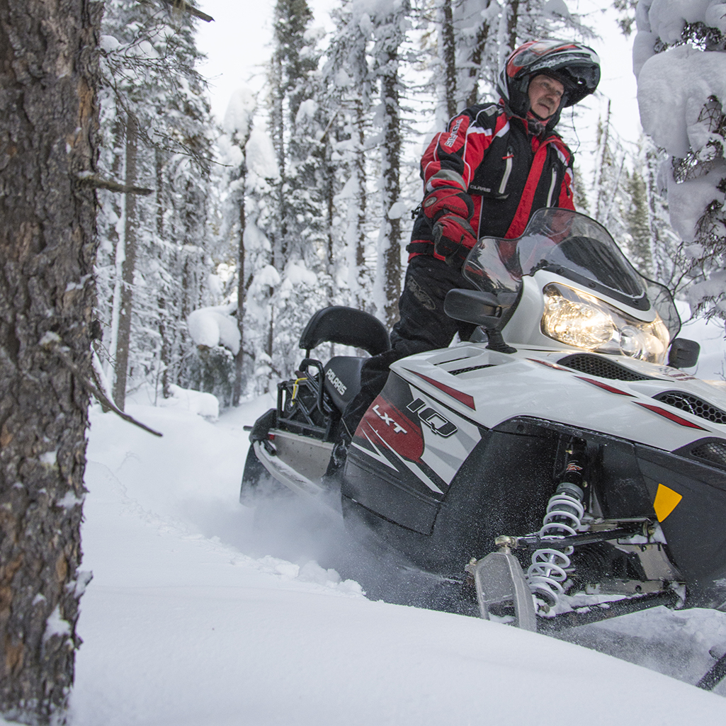 Person snowmobiling through a forest