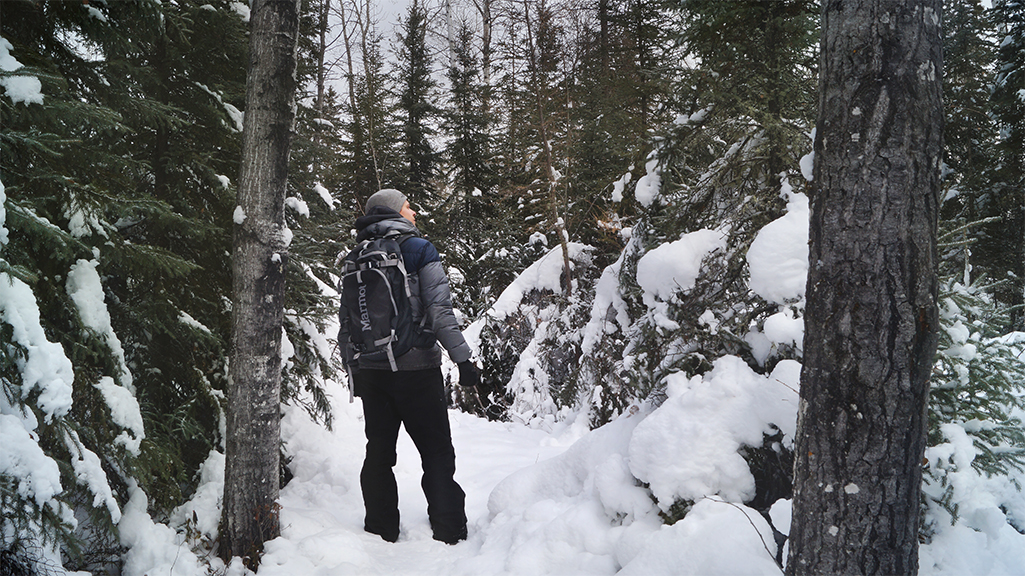 winter hiking