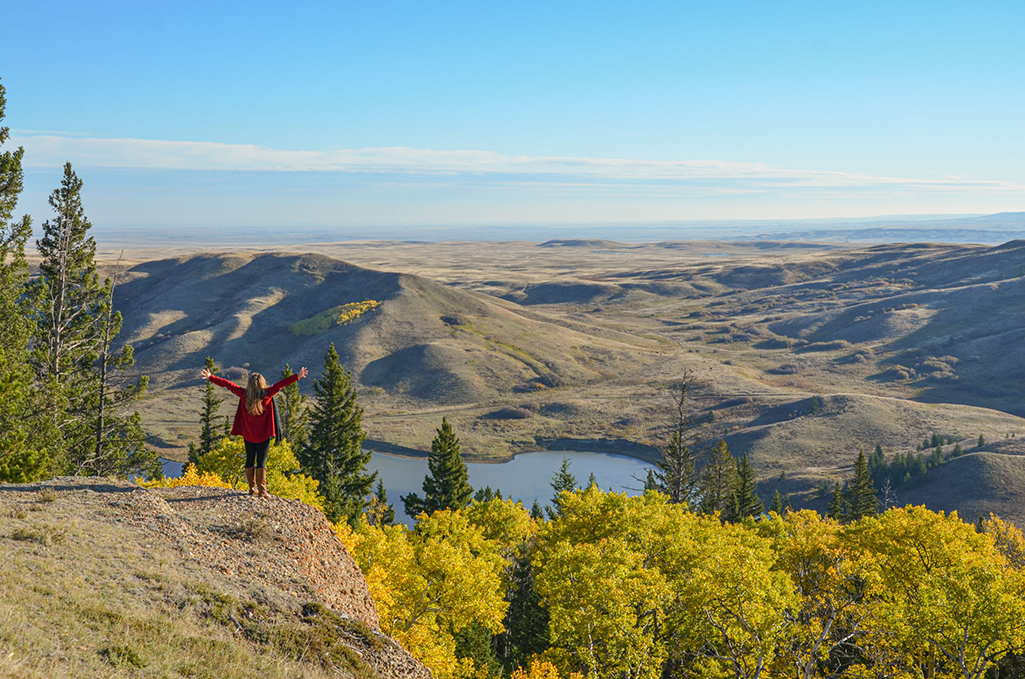 Cypress Hills