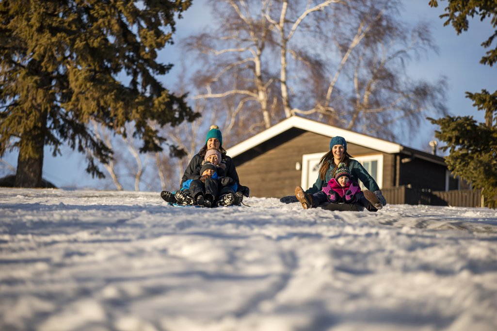 a family tobogganing 