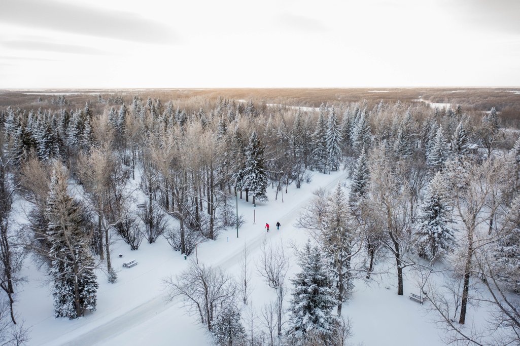 aerial photo of two people skating along ice path at echo valley provincial park