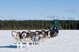 Sundogs Excursions