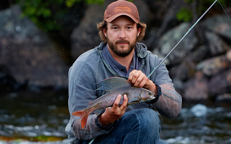 Arctic grayling