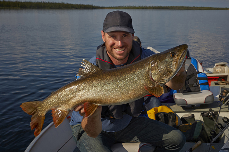 lake trout