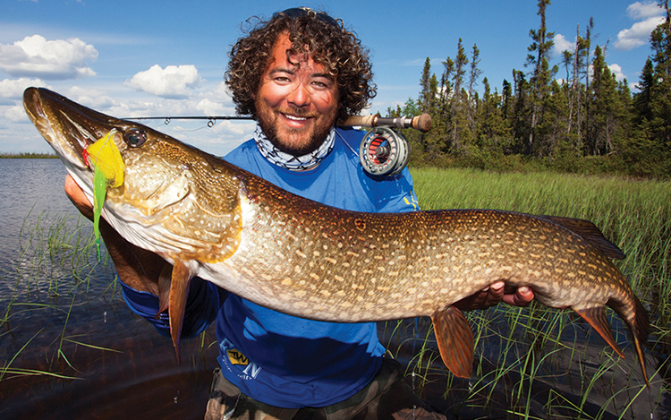 northern pike