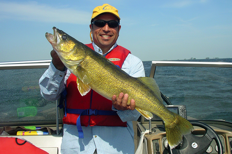 trophy walleye