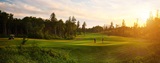 Rolling Pines Yorkton Golf