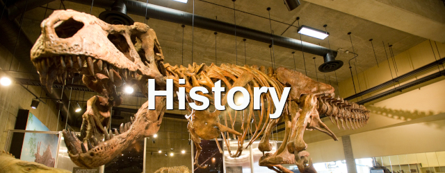 History