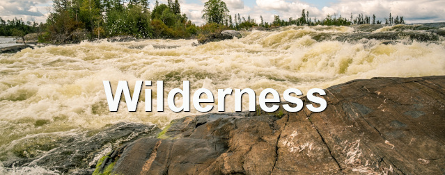 Wilderness